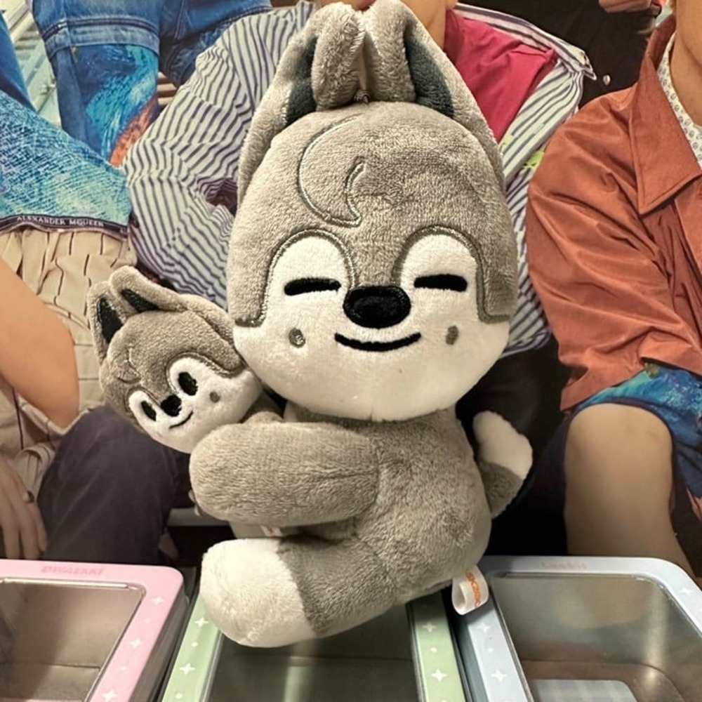 STRAY KIDS Wolfchan Bangchan DominATE CelebrATE Skzoo Magnet Plush Set + PC